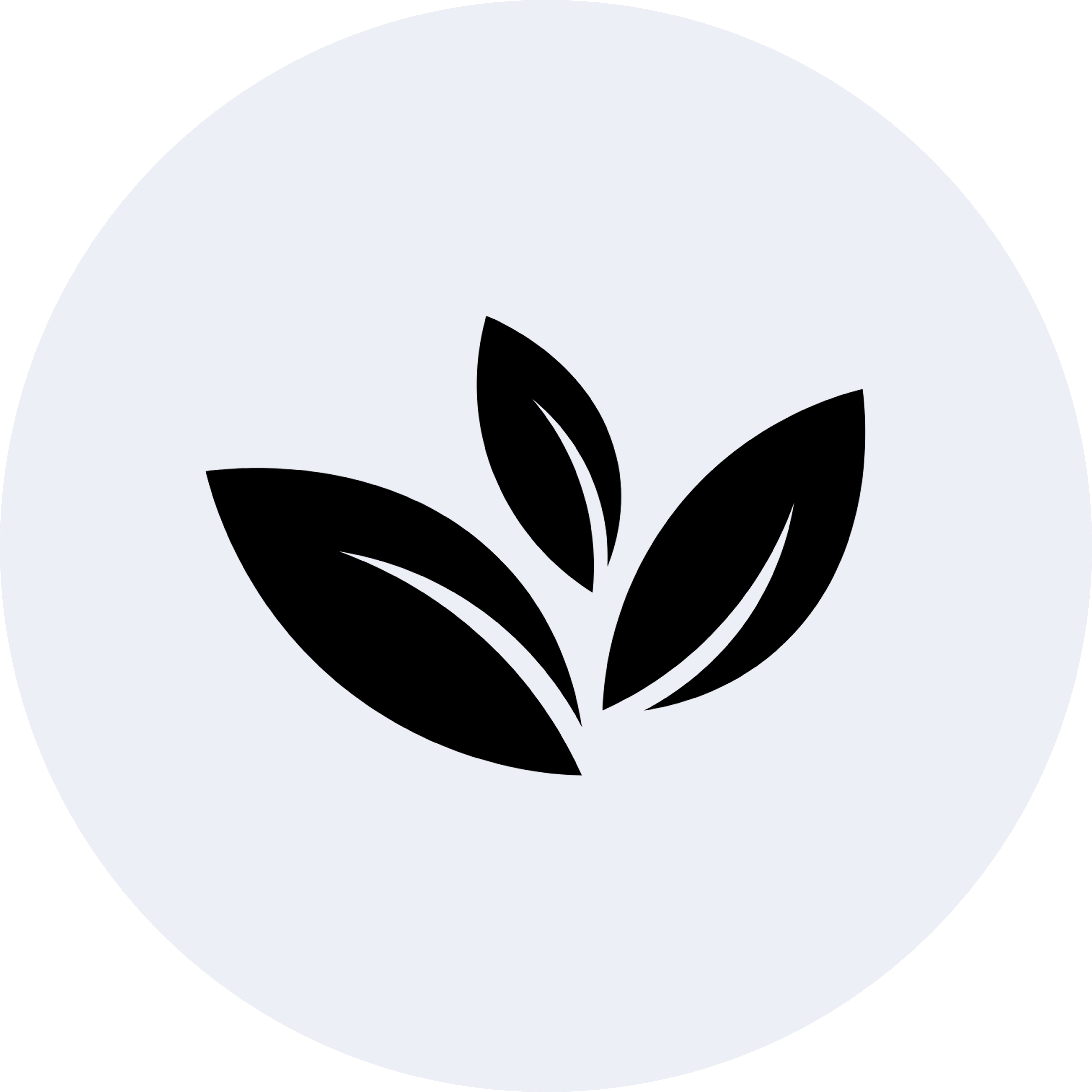 Centered Image